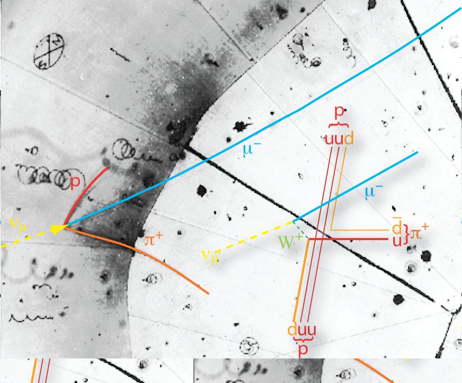 Bubble chamber tracks — curved white trails of charged particles crossing a dark field.