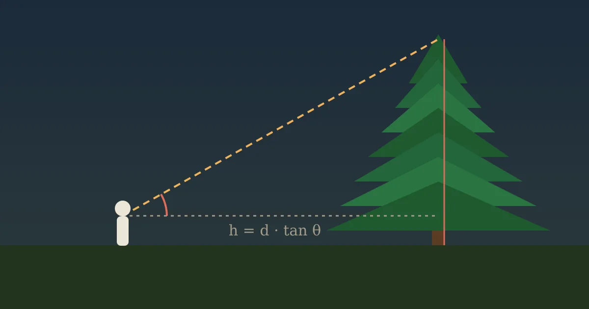 Illustration: a person stands at a distance from a tall pine tree, with a dashed sight line to the treetop forming a right triangle with the ground.