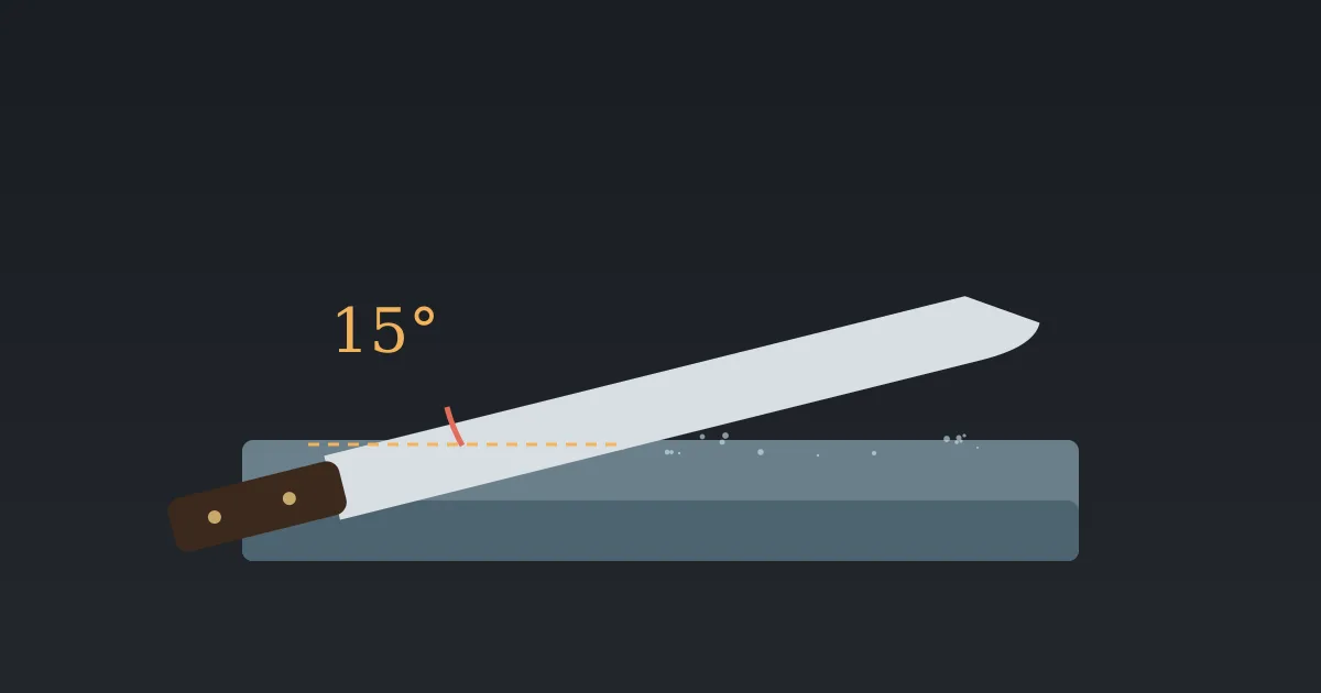 Illustration: a chef's knife held at a shallow angle on a two-tone whetstone, with an angle arc drawn between the blade and the stone.