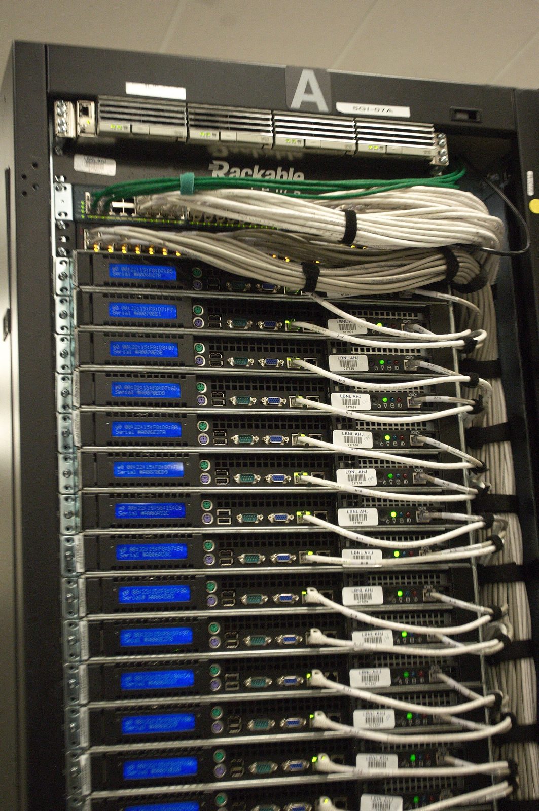 The back of a data-center server rack: rows of blue status lights and bundles of white network cables.