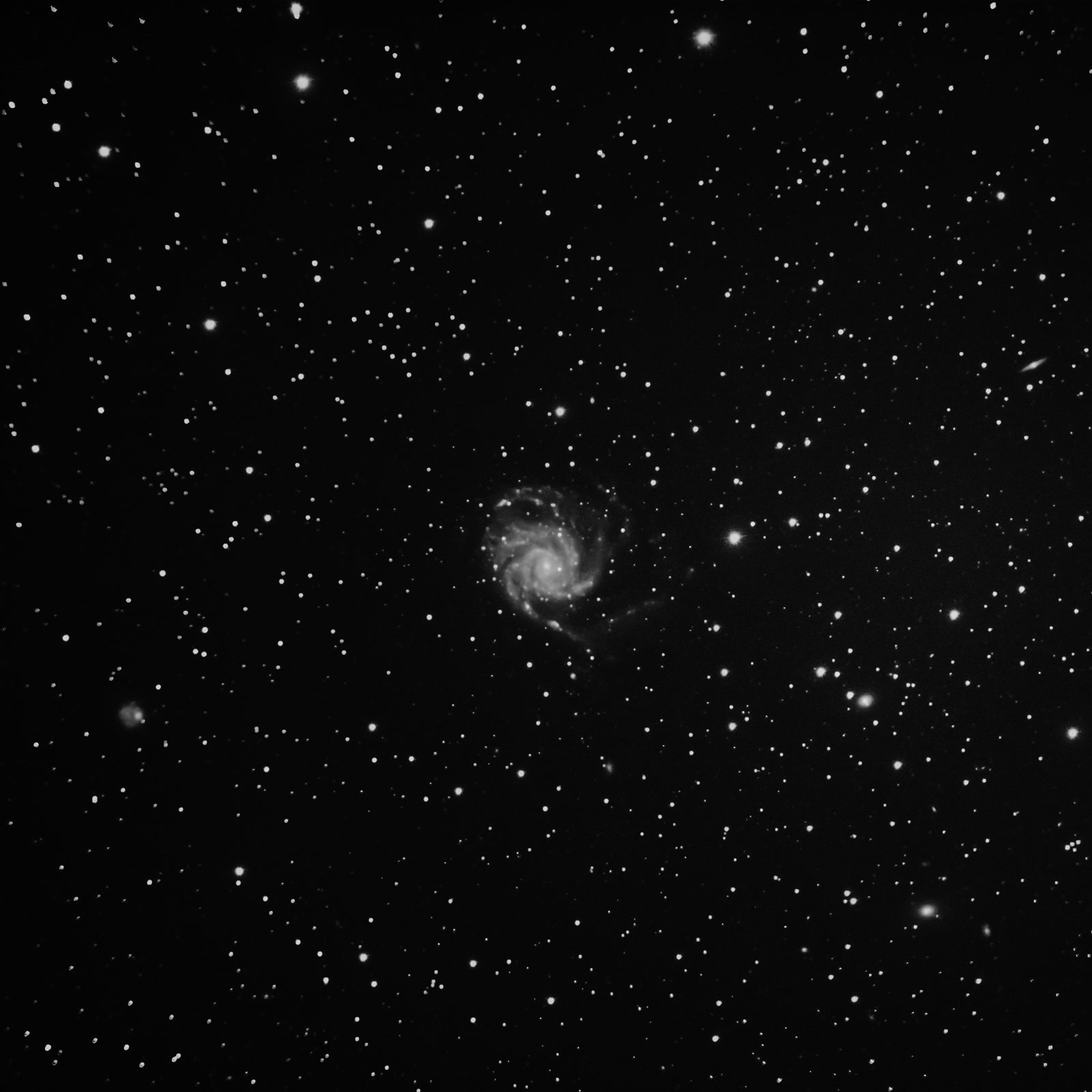 The Pinwheel Galaxy, Messier 101 — a face-on spiral of stars and dust.